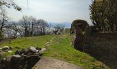 Tocht Stappen Stresa - Stresa-Belgirate-lac Majeur  - Photo 4