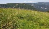 Randonnée Marche Le Valtin - Route des Roches. Schlucht-Hohneck - Photo 15