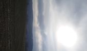 Trail Walking Saint-Hubert - adeps St Hubert  - Photo 9
