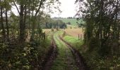 Trail Walking Trooz - Balade du Bois de Casserole - Photo 19