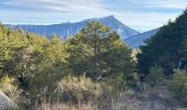 Trail Walking Castellane - La Baume (04) - Mandarom  - Photo 2