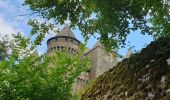 Randonnée Marche Laguiole - Soulagese Chateau du  ousquet - Photo 8