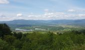 Trail Walking Châlonvillars - Chalonvillars - fort du Salbert  - Photo 11