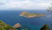 Tour Wandern Terre-de-Haut - Les Saintes - J2 - Photo 15