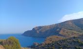 Excursión Senderismo Banyuls-sur-Mer - cap del troc . coll de gran bau . cap réderis . retour par le chemin du littoral  - Photo 1