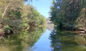 Tour Wandern Weismes - tour du lac, pont - barrage - pont  - Photo 9