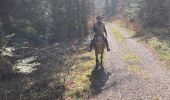 Trail Horseback riding Raon-l'Étape - Yogo Claude tivio kaline - Photo 2