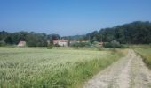 Tour Wandern Ohey - bois-dohey - Photo 15