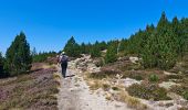 Trail Walking Pont de Montvert - Sud Mont Lozère - le Pic  Cassini - Photo 4