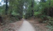 Tour Wandern Le Boulou - Le boulou - Saint Jean pla de corts via le lac  - Photo 13