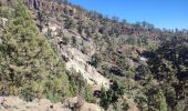 Trail Walking Vilaflor - Lunar Landscape Hike in Villaflor (Tenerife) - Photo 12