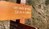 Randonnée Marche Mandelieu-la-Napoule - Grotte des œufs de bouc  - Photo 6
