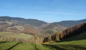 Tour Mountainbike Urbach bei Kaysersberg - Place Arthur - Photo 1