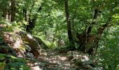 Trail Walking Colombières-sur-Orb - la colombiere sur orb - Photo 3