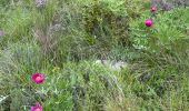 Trail  Castillon - Grammondo 3 - Photo 9