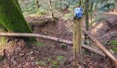 Trail Walking Plancher-les-Mines - Plancher les mines - sentier des mines - croix du choléra - Planche des Belles Filles - sentier FFI - Mont Menard - Plancher les Mines - Photo 2