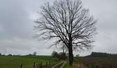 Randonnée Marche Valkenburg aan de Geul - Valkenburg_1730 - Photo 11
