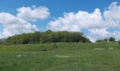 Trail On foot Wettin-Löbejün - RundwegTannengrund Teufelsgrund Rothenburg - Photo 2