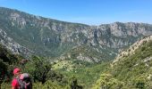 Percorso Marcia La Palud-sur-Verdon - La palud sur Verdon - Photo 9