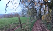 Randonnée Marche Aywaille - de Tlff à Sur le Tige -  autour du bois de Warnoumont - Photo 6