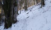 Trail Walking Sewen - Sewen chalet du Graber - Photo 16