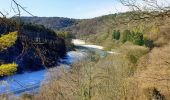 Trail Walking Rochefort - Parc Animalier de Han - Photo 10