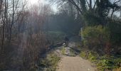 Trail Walking Watermael-Boitsfort - Watermaal-Bosvoorde - Watermael - Tree - Photo 4