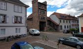 Tour Rennrad Isenheim - EXT-65 Issenheim-01 - Photo 3