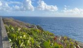 Trail Trail Port-Louis - Anse Bertrand massious porte d’enfer - Photo 5