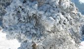 Tour Schneeschuhwandern Saint-Agnan-en-Vercors - Beure - Écondus - Photo 7