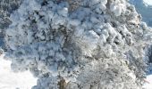 Randonnée Raquettes à neige Saint-Agnan-en-Vercors - Beure - Écondus - Photo 7