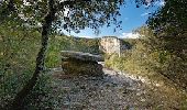 Randonnée Marche Saint-Remèze - Dolmen du Chanet 7km. - Photo 4