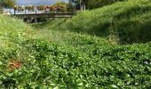 Tocht Te voet Gemeinde Mistelbach - Kettlasbrunn: Rundwanderweg Satzer Hölzl - Photo 1