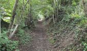 Tocht Stappen La Chapelle-Janson - GR_37_AG_21_Chapelle-Janson_Luitre-Dompierre_20210620 - Photo 4