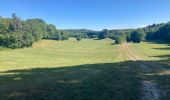 Trail Walking Ordonnaz - Ordonnaz  - Photo 2