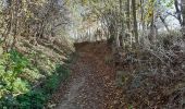Trail Walking Voeren - entre Mouland et Fouron le Comte - Photo 18