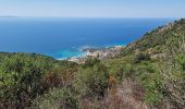 Randonnée A pied Ajaccio - Sentier des Crêtes Ajaccio et Grotte N - Photo 11