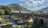 Tour Wandern Le Puy-en-Velay - Circuit parcours Coeur et Ssnte - Photo 9