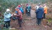Tour Wandern Fontainebleau - Belle-croix 27 janvier 2023  - Photo 5