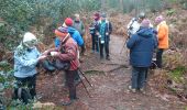 Trail Walking Fontainebleau - Belle-croix 27 janvier 2023  - Photo 5