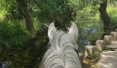 Trail Horseback riding Teyran - Teyran - domaine des Restinclières boucle  - Photo 1