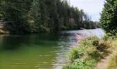 Trail Walking Waimes - Au fil des rives du Lac   - Photo 9