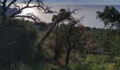 Trail Walking Saint-Raphaël -  saint raphael /les ferrieres / belvédère du Dramont - Photo 2