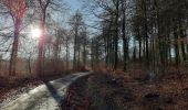 Tour Zu Fuß Libramont-Chevigny - Fagne des Anomalies - Photo 4