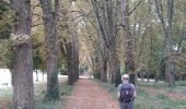 Excursión Senderismo Sceaux - parc de sceaux, arboretum,vallee aux loups etang colbert - Photo 14