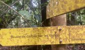 Percorso Sentiero Sainte-Rose - La muraille  - Photo 3