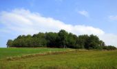 Tour Zu Fuß Mühltal - Ortsrundwanderweg Mühltal 1 - Photo 6