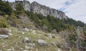 Trail Walking Furmeyer - Mias - Manche - Gorce - Jamone - Photo 6