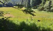 Trail Walking Izeron - La lunette- fontaine et grotte de Byry - Photo 6