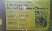 Excursión Senderismo Chevreuse - 20200919_Circuit_Chevreuse - Port-Royal-Des-Champs_par chemin Jean-Racine - Photo 9